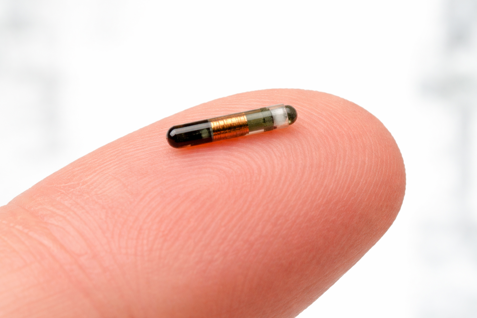 Microchip on a fingertip. 